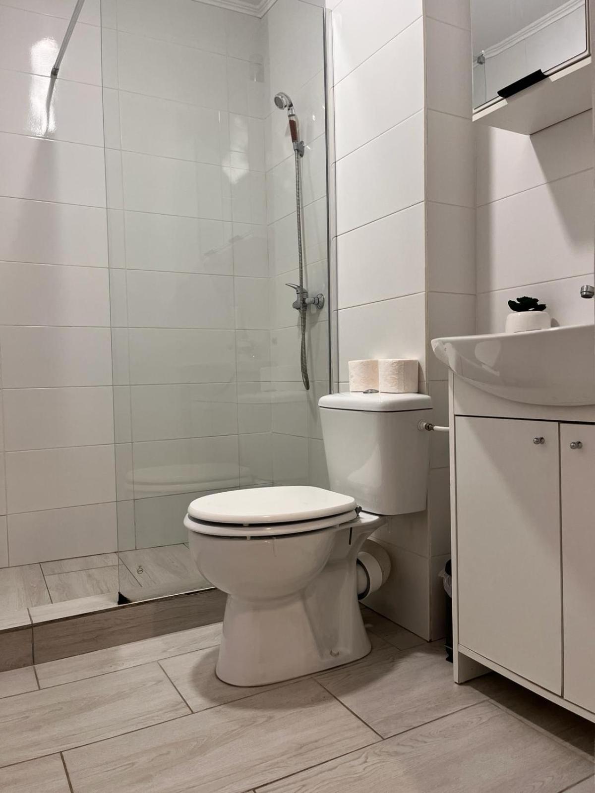 White & Silver Luxury Apartament Craiova Exteriér fotografie
